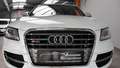 Audi SQ5 3.0 TDI competition quattro Navi Stdhzg AHK Білий - thumbnail 9