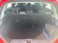 Ford Fiesta Fiesta Active 1.0 ecoboost h 125cv powershift Rosso - thumbnail 15