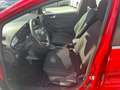 Ford Fiesta Fiesta Active 1.0 ecoboost h 125cv powershift Rosso - thumbnail 12