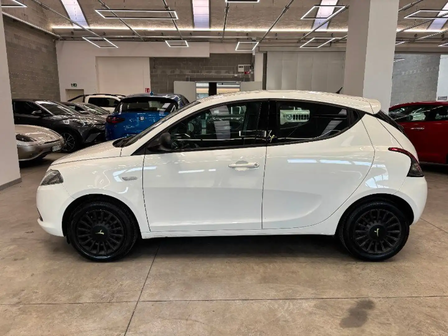 Lancia Ypsilon Ypsilon 1.2 69 CV 5 porte Elefantino Bianco - 2