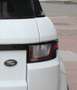 Land Rover Range Rover Evoque (2) SD4 240 HSE BVA Blanc - thumbnail 18