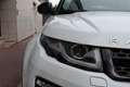 Land Rover Range Rover Evoque (2) SD4 240 HSE BVA Blanc - thumbnail 17