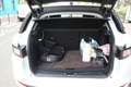 Land Rover Range Rover Evoque (2) SD4 240 HSE BVA Blanc - thumbnail 14