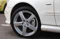 Mercedes-Benz CLK 220 CDI Coupe AMG-Line Navi*Leder*Bi-Xenon Wit - thumbnail 23