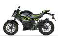 Kawasaki Z 125 2026 - thumbnail 4