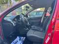Peugeot 206 + Basis *TÜV *Zahnriemen NEU Rood - thumbnail 9