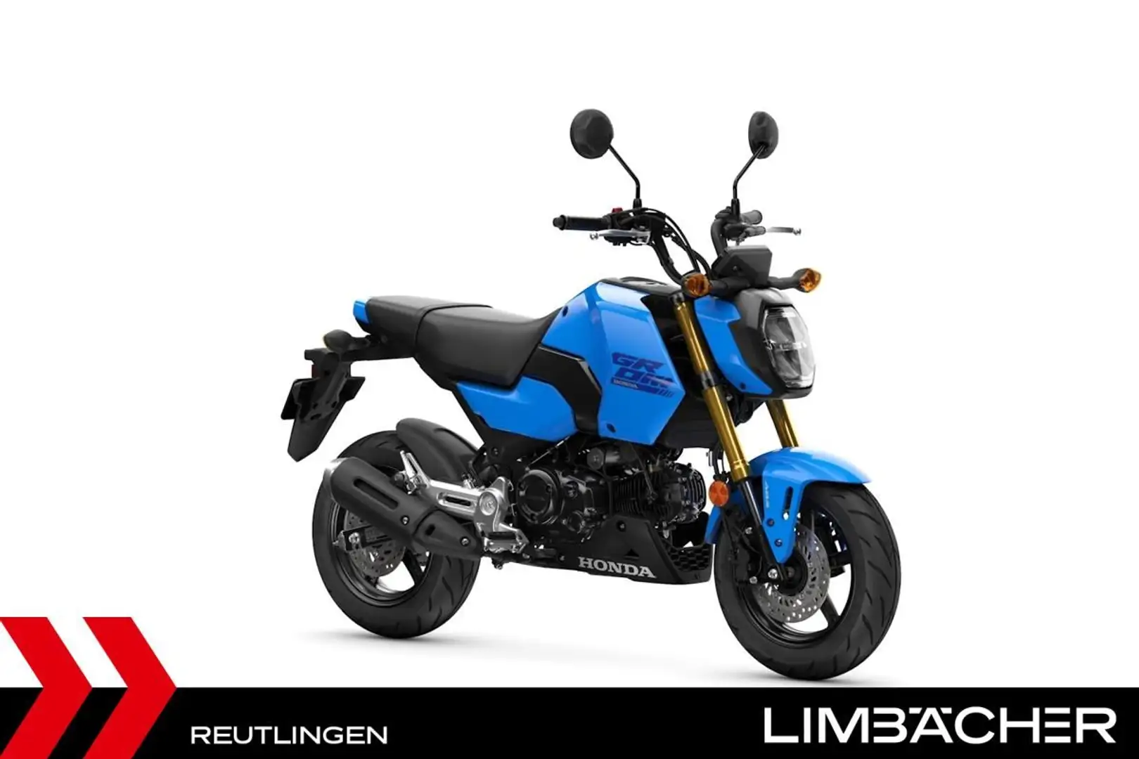 Honda MSX 125 GROM 2025 - HONDA REUTLINGEN - 2
