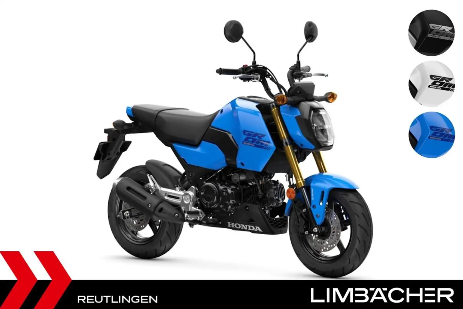 Honda MSX 125 GROM 2025 - HONDA REUTLINGEN - 1