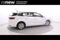 Renault Megane S.T. 1.5dCi Blue Intens 85kW Blanco - thumbnail 8