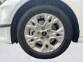 Kia Ceed / cee'd CEED 1.5T DCT VISION NAVI KAMERA SHZ ALU Weiß - thumbnail 16