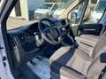 Fiat Ducato 35 LH2 2.3 mjt 140cv E6d-temp Blanco - thumbnail 7