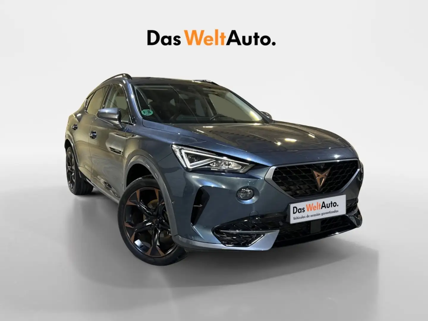 CUPRA Formentor 1.5 TSI 150 Gris - 1