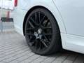 BMW 318 318i Touring Sport Paket M Technic Paket PANO White - thumbnail 16