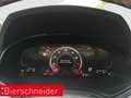 SEAT Ibiza 1.0 TSI FR ACC PDC LED SPORTSITZE DAB Schwarz - thumbnail 16