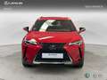 Lexus UX 200 SUV PREMIUM 2.0 Híbrido Gasolina Transmisión Aut Rojo - thumbnail 5