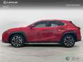 Lexus UX 200 SUV PREMIUM 2.0 Híbrido Gasolina Transmisión Aut Rojo - thumbnail 3