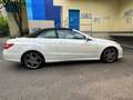 Mercedes-Benz E 250 Cabrio 250CDI BE Aut. - thumbnail 12