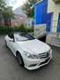 Mercedes-Benz E 250 Cabrio 250CDI BE Aut. - thumbnail 3