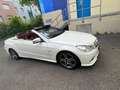 Mercedes-Benz E 250 Cabrio 250CDI BE Aut. - thumbnail 10