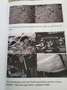 Mercedes-Benz 280 SE 3.5/Klima/SD/Deutsch/Kpl. revidiert Vert - thumbnail 13