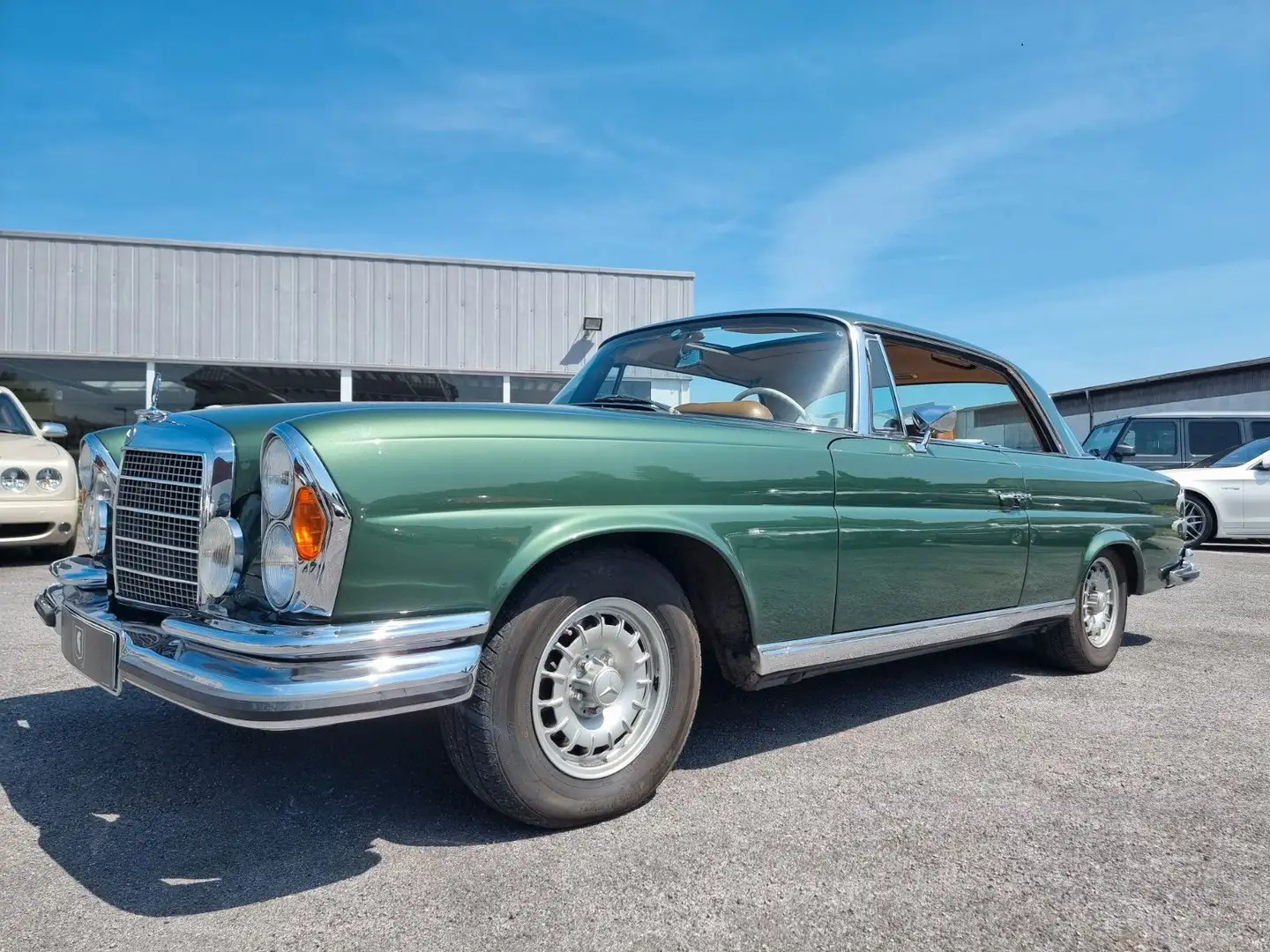 Mercedes-Benz 280 SE 3.5/Klima/SD/Deutsch/Kpl. revidiert Vert - 1