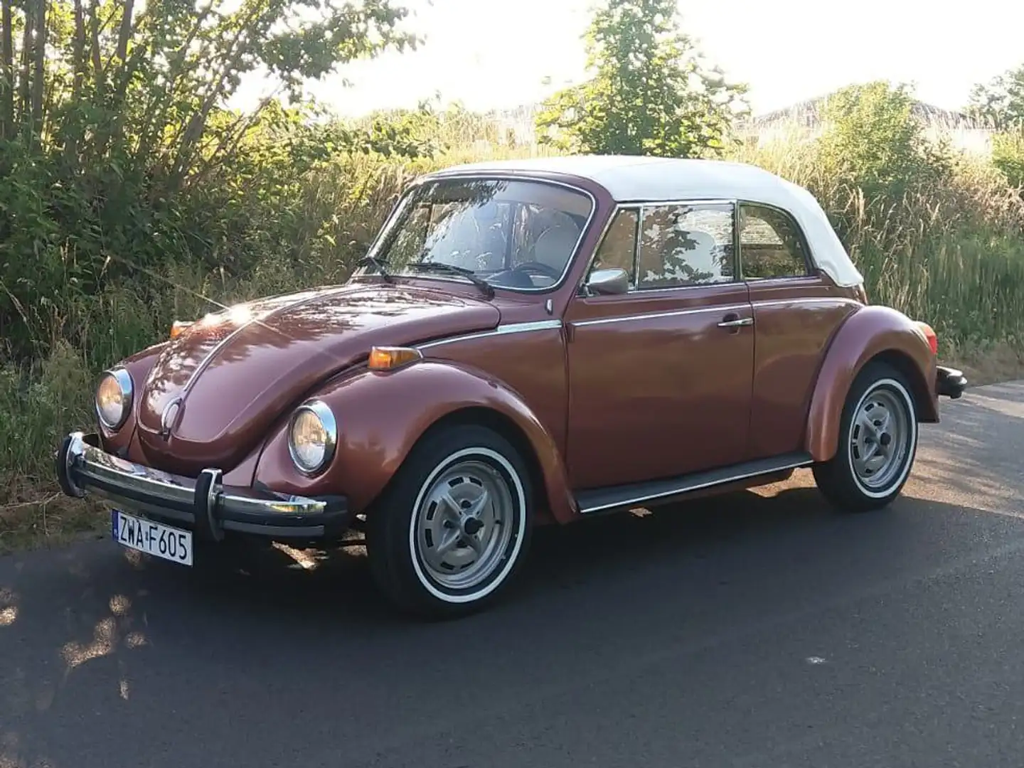 Volkswagen Beetle 1.6 cabriolet champagne edition 2 Rouge - 2