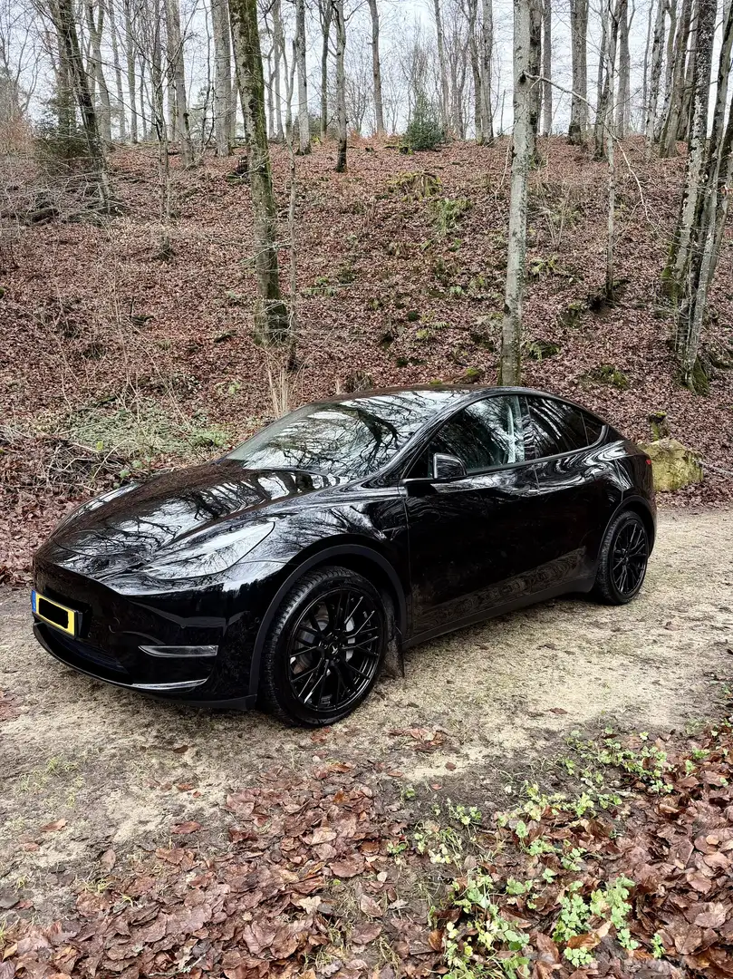 Tesla Model Y Long Range Dual Motor AWD - 1