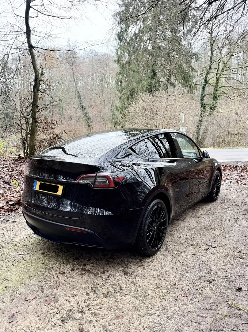 Tesla Model Y Long Range Dual Motor AWD - 2