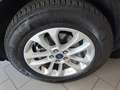 Ford Kuga 2.0 EcoBlue 120 CV aut. 2WD Titanium X Nero - thumbnail 12