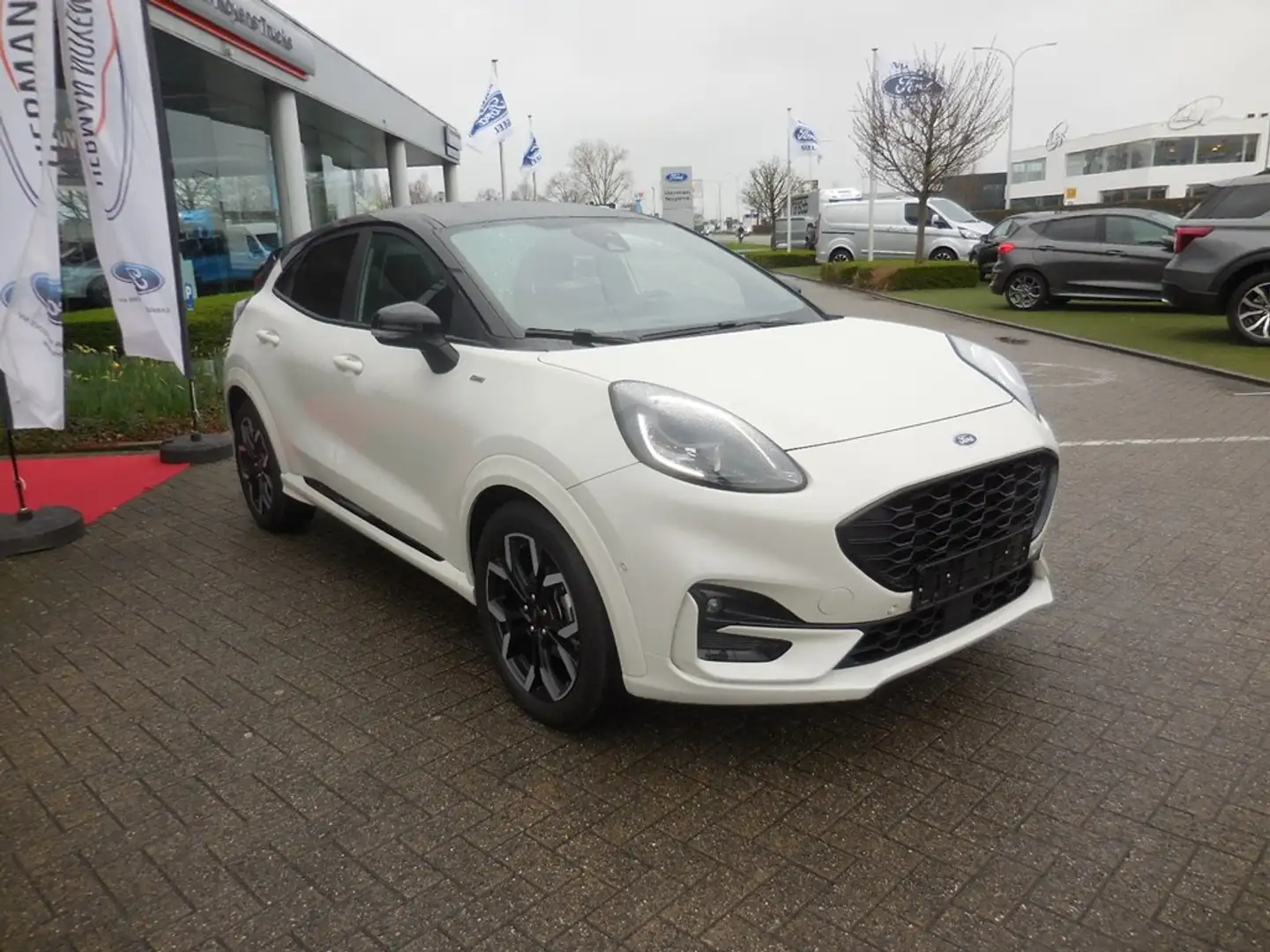 Ford Puma Ecoboost mHEV ST-Line X Beige - 2