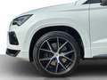 CUPRA Ateca 2.0 TSI DSG 4Drive DCC VIRTUAL*BEH.FRONT*NAVI*L... Weiß - thumbnail 18