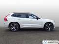 Volvo XC60 Ultimate Dark AWD B5 EU6d  ACC/RFK/360°Cam Wit - thumbnail 3
