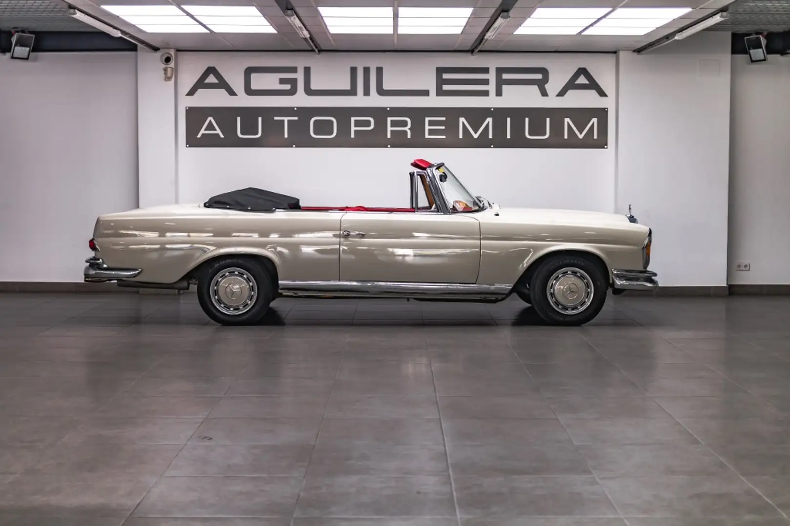 Mercedes-Benz 280 SE (116) Blanco - 2