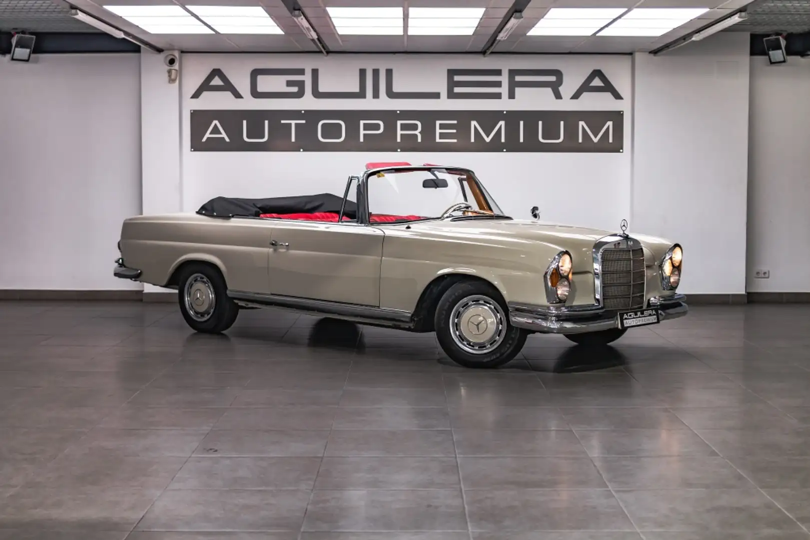 Mercedes-Benz 280 SE (116) Blanco - 1