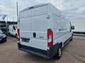 Fiat Ducato Grossr.-Kasten 2,3 Ltr L3H2 Alb - thumbnail 5