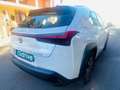 Lexus UX 300e Business Blanco - thumbnail 7