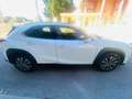 Lexus UX 300e Business Blanco - thumbnail 6