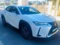 Lexus UX 300e Business Blanco - thumbnail 5