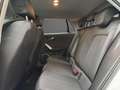 Audi Q2 35 TFSI S tronic Business Plus Bianco - thumbnail 13
