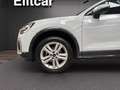 Audi Q2 35 TFSI S tronic Business Plus Bianco - thumbnail 14