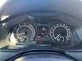 Skoda Kamiq Kamiq 1.0 TSI 110 CV Ambition Nero - thumbnail 14