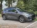 Ford Kuga 2.5 FHEV ST-Line *GEEN STEKKER*Panorama*ACC Grijs - thumbnail 5