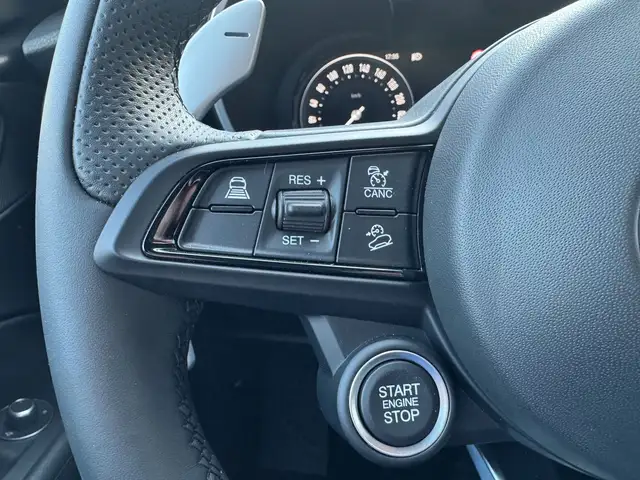 Alfa Romeo Stelvio view 18