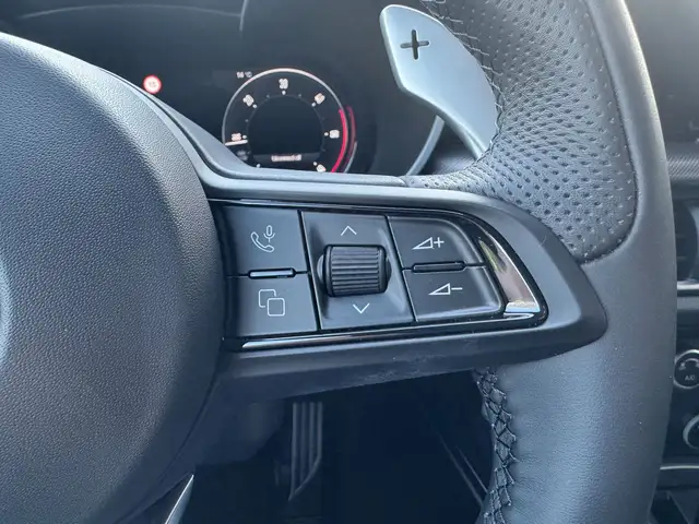 Alfa Romeo Stelvio view 17