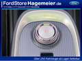 Ora Funky Cat GT Schwarz - thumbnail 13