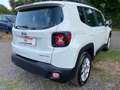 Jeep Renegade Renegade 1.0 t3 Limited 2wd Bianco - thumbnail 6