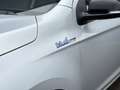Hyundai i20 1.2i Go! Plus / dealeronderhouden! Gris - thumbnail 12