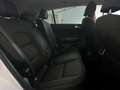 Kia Sportage Sportage IV 2016 1.7 crdi Active 2wd 115cv Bianco - thumbnail 15