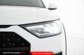 Audi A1 Citycarver 30 TFSI Admired Bianco - thumbnail 12