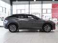 Lexus RZ 300e Executive Line Pano NAVI SHZ PDC KLIMA BT ZV Gri - thumbnail 3
